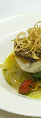 Eccolo Specials